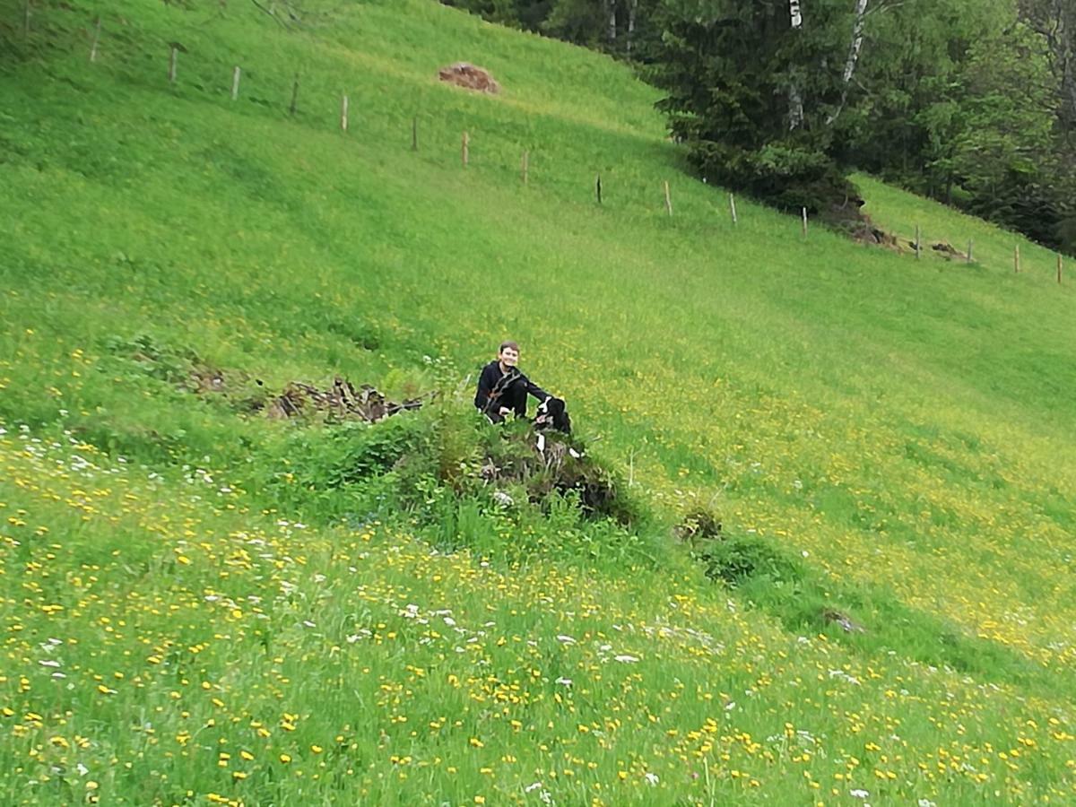 Appartement Tiefenbach Aschau Im Zillertal
